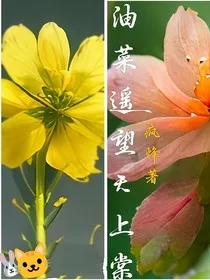 油菜遥望天上棠" width="120" height="150"