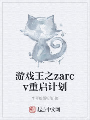 游戏王之zarcv重启计划