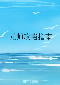 元帅攻略指南" width="120" height="150"