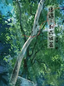 缘遇刺燕城篇" width="120" height="150"