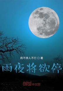 雨夜将欲停