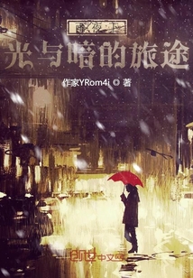 雨夜下光与暗的旅途