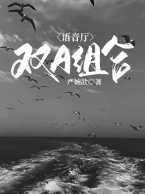 语音厅：双A组合" width="120" height="150"