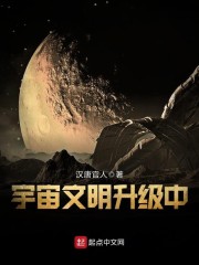 宇宙文明升级中