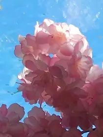 在夏天中寻找恋情是否有什么问题" width="120" height="150"