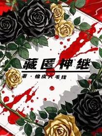 藏匿神继" width="120" height="150"