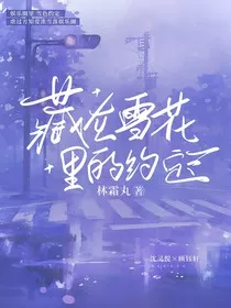 藏在雪花里的约定" width="120" height="150"