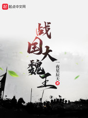 战国大魏王" width="120" height="150"