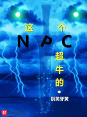 这个NPC超牛的