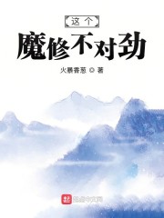 这个魔修不对劲