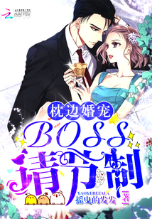 枕边婚宠：boss，请节制！