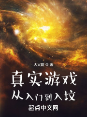 真实游戏：从入门到入坟" width="120" height="150"