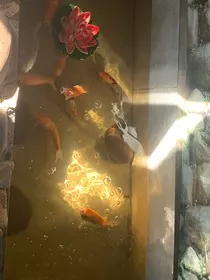 折翼：破碎的她" width="120" height="150"