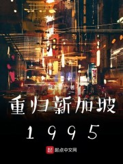 重归新加坡1995