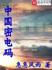 中国密电码" width="120" height="150"