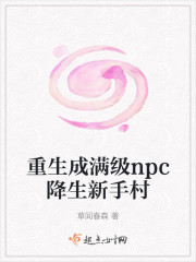 重生成满级npc降生新手村" width="120" height="150"