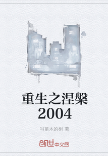 重生之涅槃2004