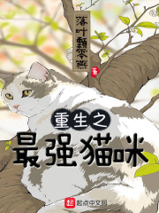 重生之最强猫咪