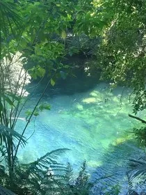 重拾朝花" width="120" height="150"