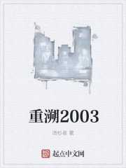 重溯2003