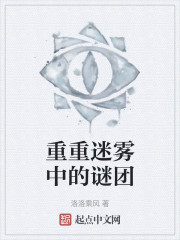 重重迷雾中的谜团" width="120" height="150"