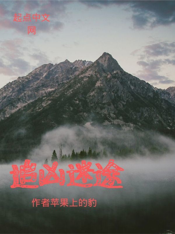 追凶迷途" width="120" height="150"