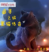 追寻之旅：黑猫传奇