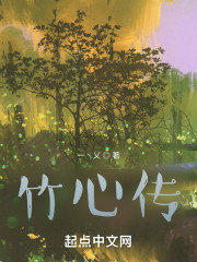 竹心传" width="120" height="150"