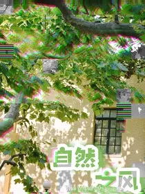 自然之风" width="120" height="150"