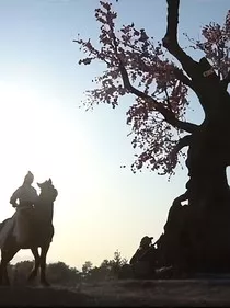 综穿之如你所愿" width="120" height="150"