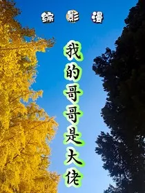 综影漫之我的哥哥是大佬" width="120" height="150"