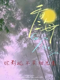 综影视之不负相思意" width="120" height="150"