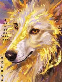 综影视：拿捏铲屎官" width="120" height="150"