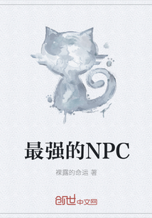 最强的NPC