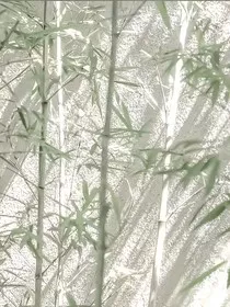 做一阵风，有温柔也有英勇" width="120" height="150"